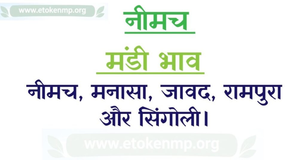 Neemuch Mandi Bhav Today