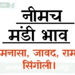 Neemuch Mandi Bhav Today