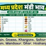 mp mandi bhav today
