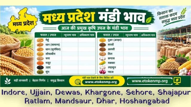 mp mandi bhav today