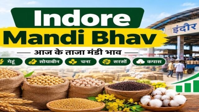 Indore Mandi Bhav _Market Update