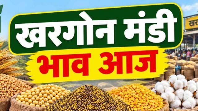 khargone mandi bhav