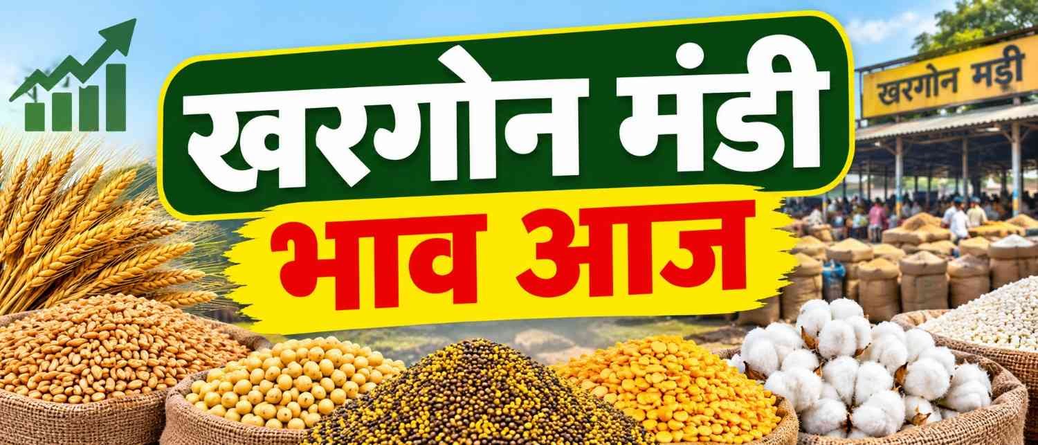 khargone mandi bhav