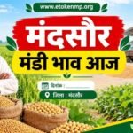 mandi bhav mandsaur today